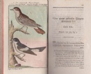 Buffon, Vögel. Bd. 14 d. Wiener Ausgabe