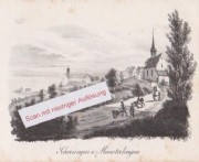 SCHERZINGEN / MÜNSTERLINGEN