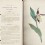 SOWERBY, English Botany. Vol. I. 1790