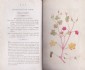 SOWERBY, English Botany. Vol. II. 1793
