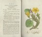 SOWERBY, English Botany. Vol. IV. 1795