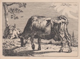 POTTER, Paul, Kühe. Orig.Radierung, um 1650