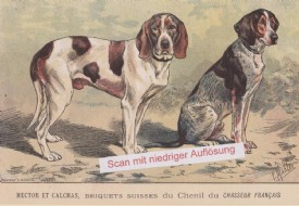 BRIQUETS SUISSES, Orig.Farblithographie v. 1895